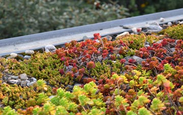 the cost of Glendevon green roof installation