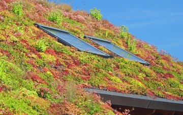Glendevon living roof systems