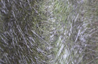 Glendevon fibreglass roof work